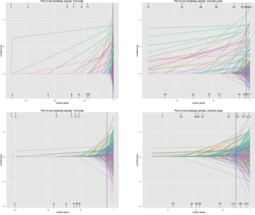 Figure 5.1: Those four plots are an illustration of how the lasso paths look like. The top plots are from the NRD dataset, while the bottom plots are from the RD dataset