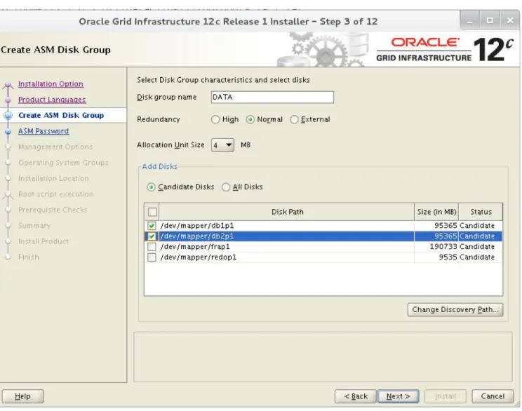 Figure 4.1.1.1: ASM Disk Group Window