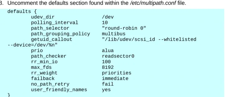 Figure 3.4.1.1: Multipath Device (mpathb)