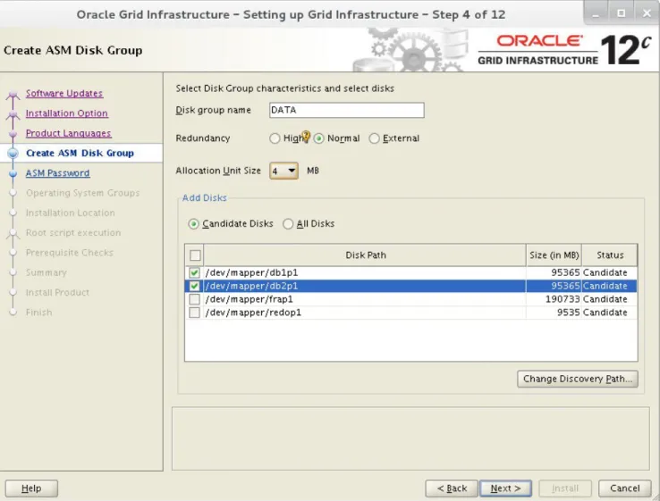 Figure 4.1.1.1: ASM Disk Group Window