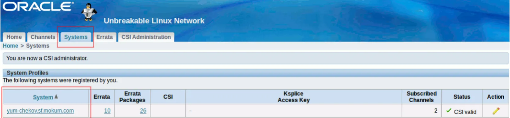 Figure 39 shows the Systems tab and the YUM server.