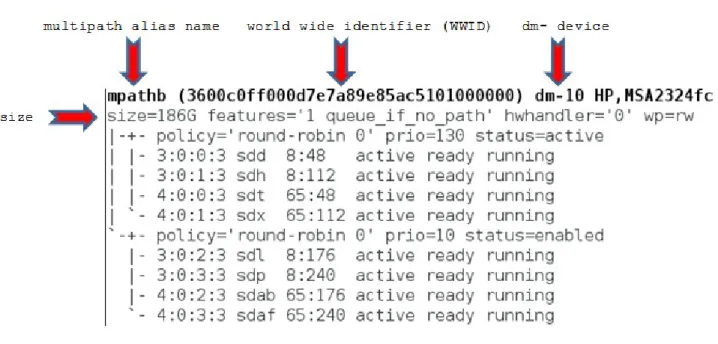 Figure 3.4.1.1: Multipath Device (mpathb) properly identifies the current multipath alias  name, size, WWID, and dm device