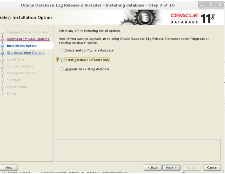 Figure 4.1.2.1: Installation Option Window