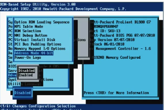 Figure 10:  Disabling 44-bit System Address Mode using RBSU 