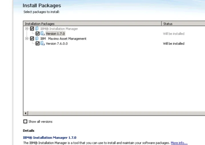 Figure 1. Maximo Asset Management installation program