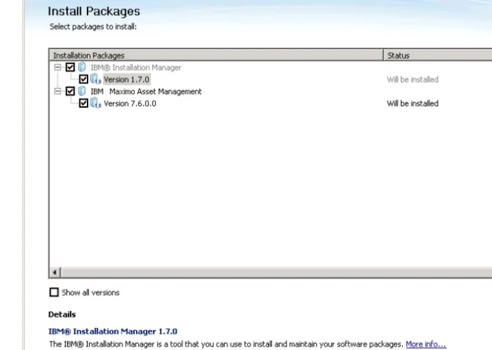Figure 1. Maximo Asset Management installation program