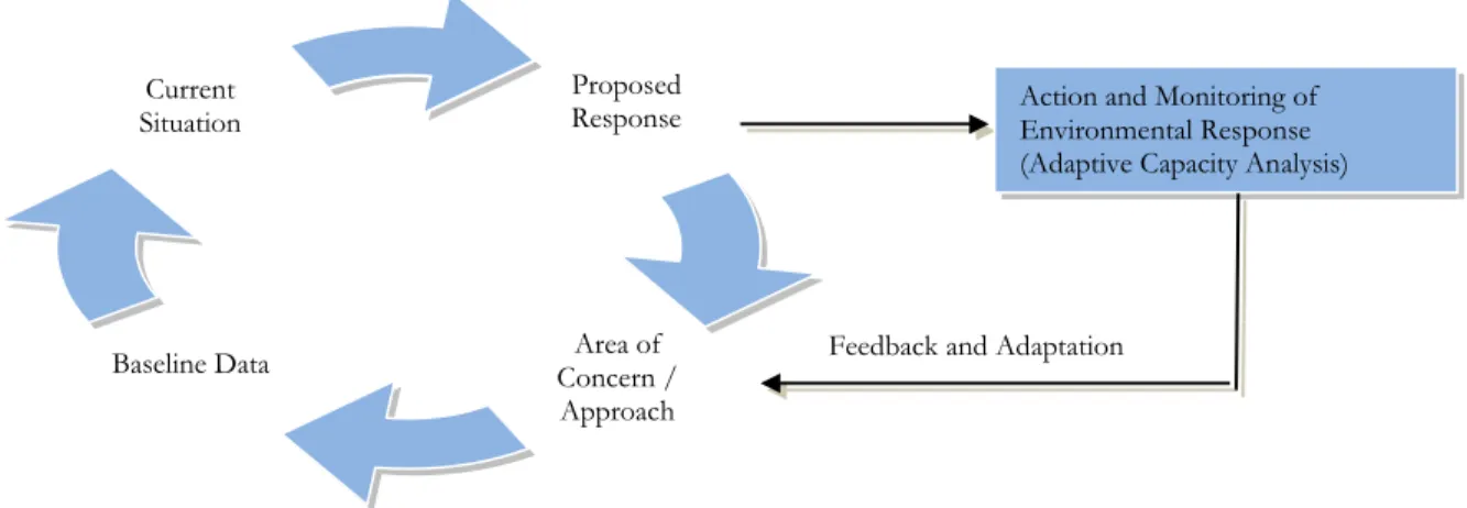 Figure 5: Model of  Approach and Analysis Leading to Proposal and Implementation of  Environmental Innovation in   Rural Communities 