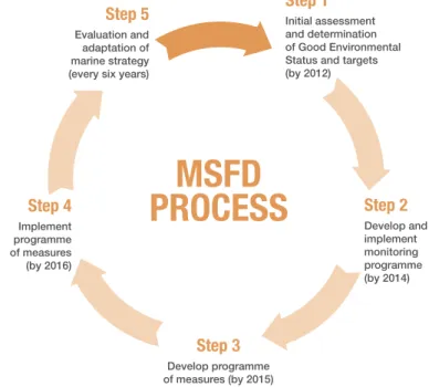 Figure 2: Process and timeline for implementation of the  Marine Strategy Framework Directive