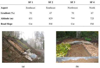 Figure 2. Establishment of runoff plots on road slopes: (a) Cutslopes (left, chip; center, control; right, slash); (b) Fillslopes (left, slash; center, control; right, chip)
