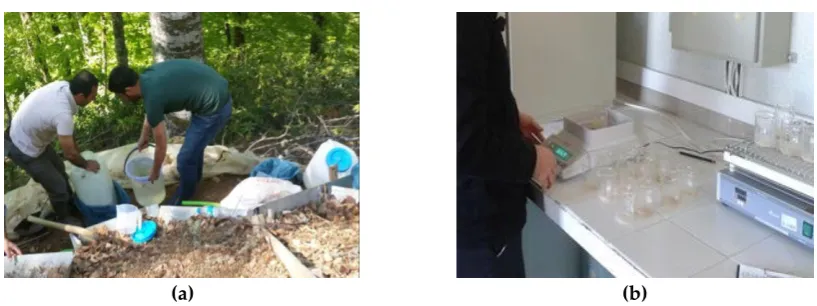 Figure 3. (a) Water sample collection; (b) Water sample analysis at the laboratory.  