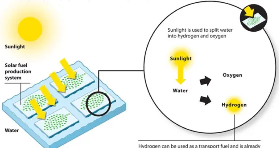 Figure 4: Producing hydrogen by splitting water using sunlight. Source: Royal Society  of Chemistry