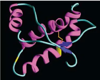 Figure 1.  PrP is a 208 amino-acid residue glycosylated protein, which is  connected to the cell surface by a glycosyl phosphatidyl inositol (GPI)  an-chor