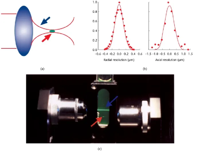 Figure 3 shows a typical two-photon microscope design. A critical component in a two-photon microscope is its light