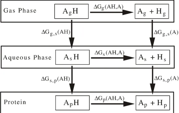 Figure 2.2: Thermodynamic cycle to calculate the protonation energy of titratable groups in solution and in protein from the gas phase properties