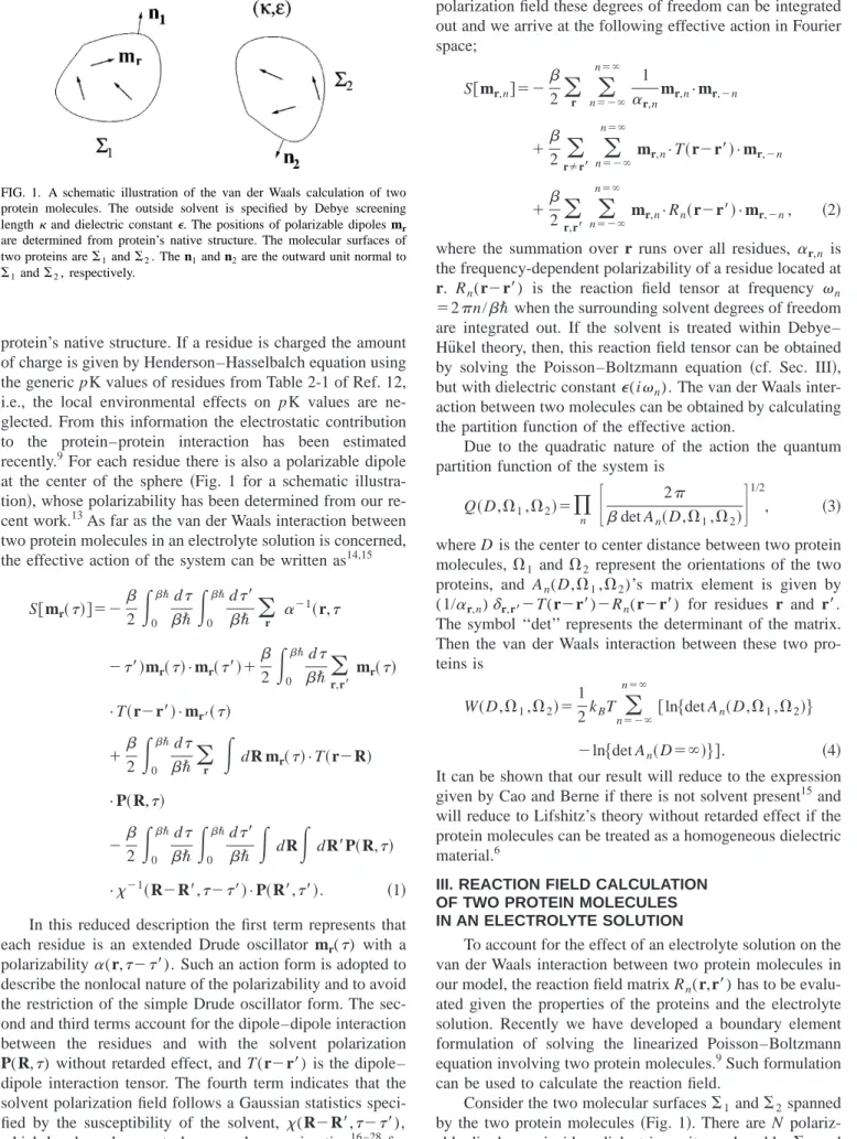 FIG. 1. A schematic illustration of the van der Waals calculation of two protein molecules