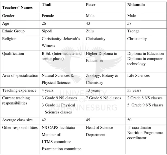 Table 3.1: Teacher profiles 