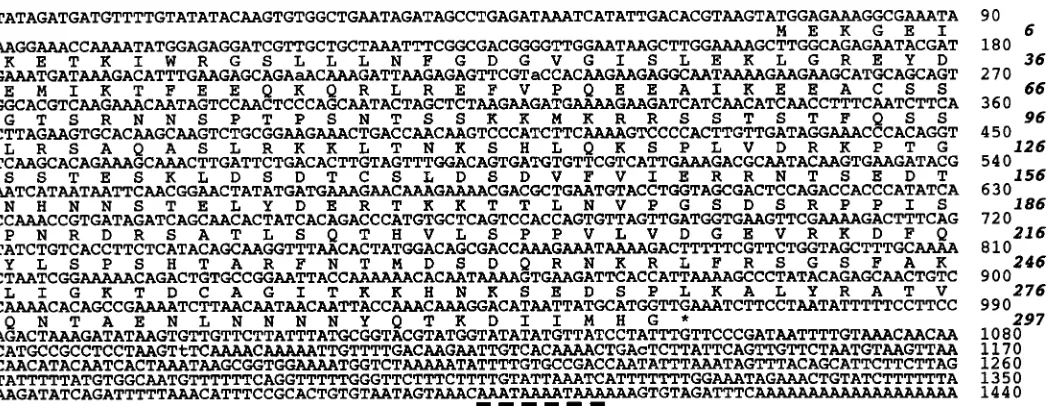 Fig. 3. Nucleotide and deduced amino acid sequence of cDNA for the CsEndo-2 gene. The 1440bp insert includes a single open reading frame thatencodes a polypeptide of 297 amino acids