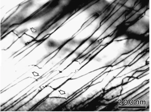 Fig. 6. (a) A bright-field TEM image showing long ±½[111] screw dislocation lines associated with large  jogs (indicated by arrows) in the sample tested at 10 -3   s -1 
