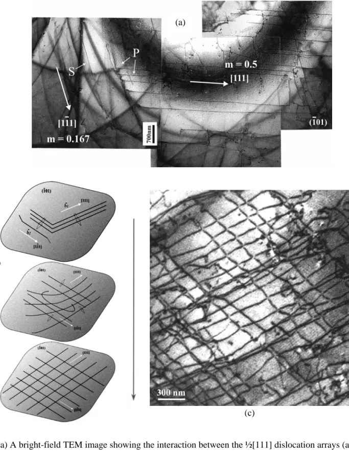 Fig. 11. (a) A bright-field TEM image showing the interaction between the ½[111] dislocation arrays (at site  P) and pre-existing ½[1 1 1] dislocation segment (at site S)