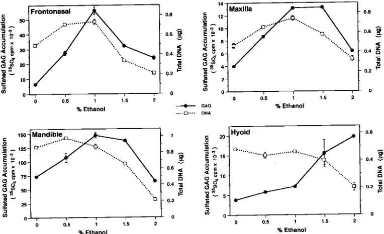 Fig. 2. Graphs illustrating the effectsof various concentrations of ethanolData points represent the mean dard error of determinations from fourreplicate cultures