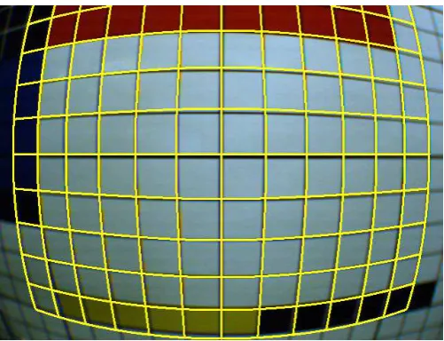 Fig. 3.Barrel distortion correction