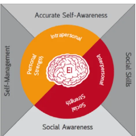 Figure 3.1. The framework of the Neuro-Link EI Program (Vermeulen, 2002). 