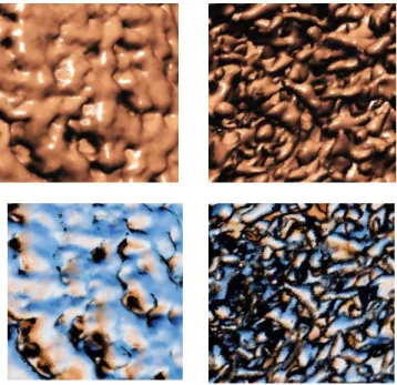 Figure 1: Visual Task 1 is “Which of the two surfaces (“left” or “right”) is rougher?” Above is a  pair of medical visualizations using the shading technique by Phong, below is a pair using a Style  shading technique in a volume ray casting algorithm