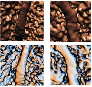 Figure 2: Visual Task 2 is “Which artery (“left” or “right”) bent stronger?” Above is a pair with  Phong shading, below is a pair using Style shading