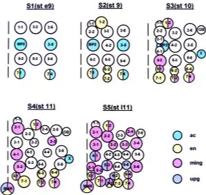Fig. 1. Expression pattern of NB markers. Summary of the consensus pattern of NBat different developmental time points with the expression of four different molecularmarkers indicated in different colors