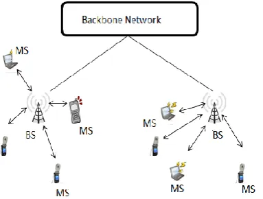 Figure 5. Mesh Architecture 