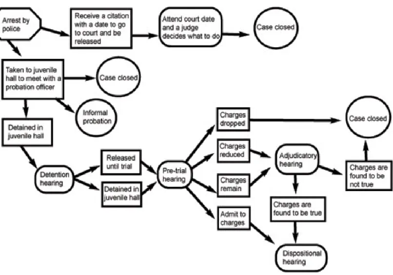 Figure 3. Pathways in the Juvenile Justice System 