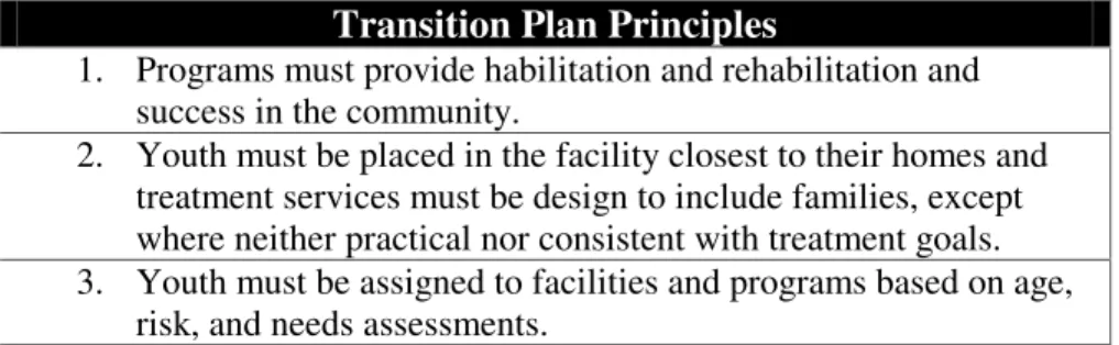 Figure 4. Transition Plan Principles 