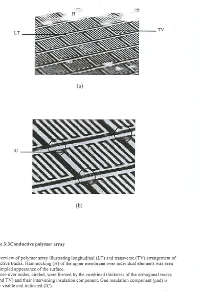 Figure 3;3Conductive polymer array 