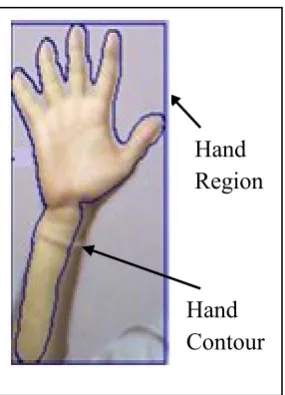 Figure 7. Image Convex Hull 