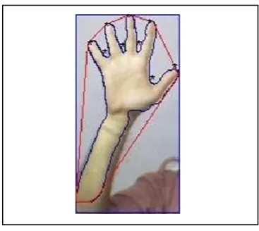 Figure  9.  Contour Plot (CP) for Any Image 