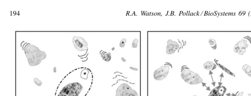 Fig. 1. A caricature of processes in SEAM. (a) New entities are created from the composition or joining of two randomly selected extantentities (such contexts