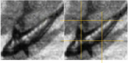 Figure 2. Object detection in 3*3 regions 