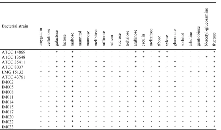 Table 3. Comparison of the carbohydrate metabolism of the lactobacilli strains