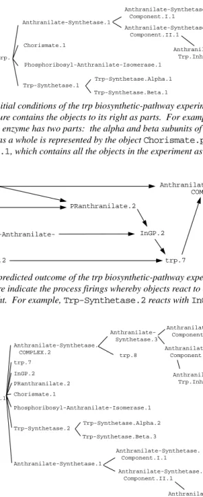 Figure 11.  The internal structures of the objects predicted to be present at the end of the trp biosynthetic-pathway experiment.