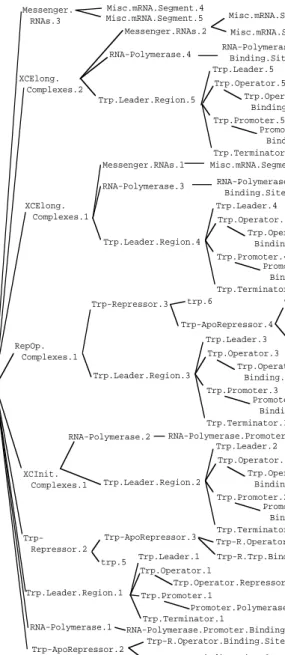 Figure 15.  The objects in the predicted outcome of the  leader-region-transcription experiment.