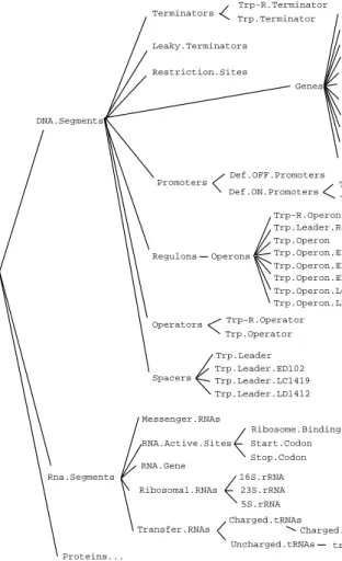 Figure 2.  Object classes within the class knowledge base.  This figure shows the