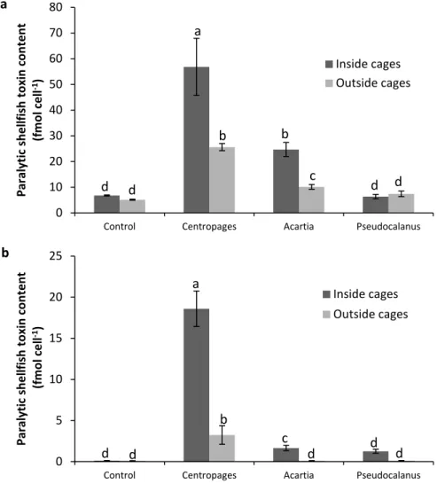 Figure 8. Paralytic shellfish toxin (PST) content in fmol cell -1  in Alexandrium minutum cultures  exposed to different copepod grazers (Centropages typicus, Acartia clausi and Pseudocalanus sp.)
