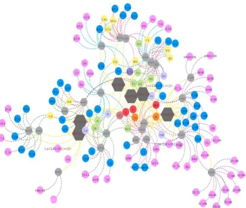 Figure 7: Network visualization for all singular case endings of Croatian nouns 