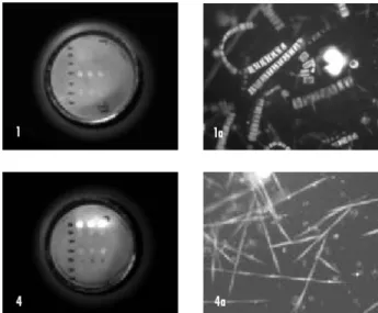 Figure 1. Left, Environmental Sample Processor, Right, ESP enclosed in housing for deployment