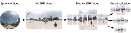 Fig. 1: Overview of the different formats and representations.