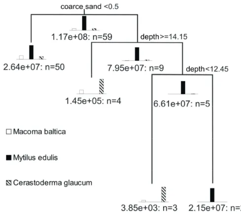 Fig. 5. MRT analysis of relationships between environmental parameters and bivalve species composition