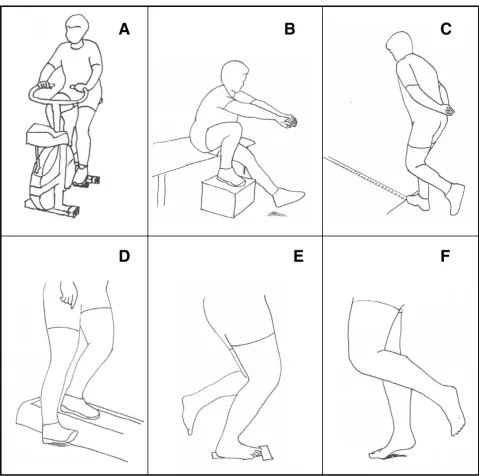 Figure 2Tests of functional performanceTests of functional performance. A) Åstrand's cycle-ergometer test [24]