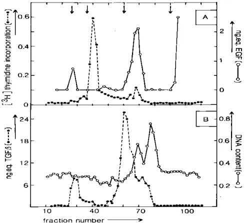 Fig. 1. Elution profile of polypeptide growth factor activity secretedby P19 mouse embryonal carcinoma cells.PDGF-like (A; dashed), EGF-like (A; solid), TGF-beta-like (B; dashed),and IGF-like (B; solid) activities