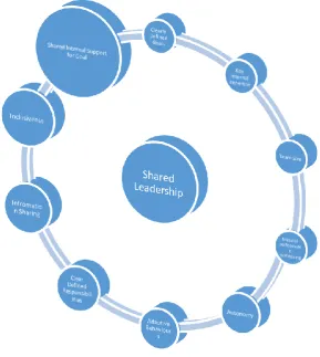 Figure 4:  Lara’s reflections on critical internal factors related to shared leadership
