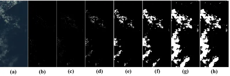 Figure 9. The detailed iteration result of aMRF. (a) Original image; (b) Classiﬁcation result of TESAM;(c-h) The 1st, 2nd, 4th, 8th, 16th and 30th iteration result of aMRF respectively.